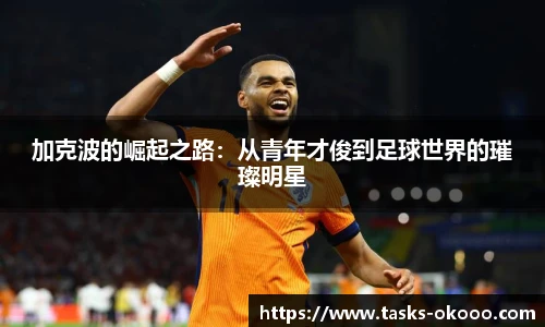 加克波的崛起之路：从青年才俊到足球世界的璀璨明星