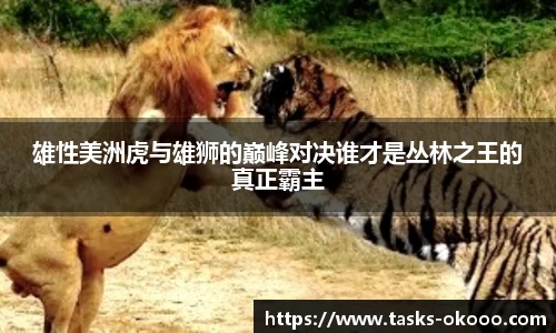 雄性美洲虎与雄狮的巅峰对决谁才是丛林之王的真正霸主